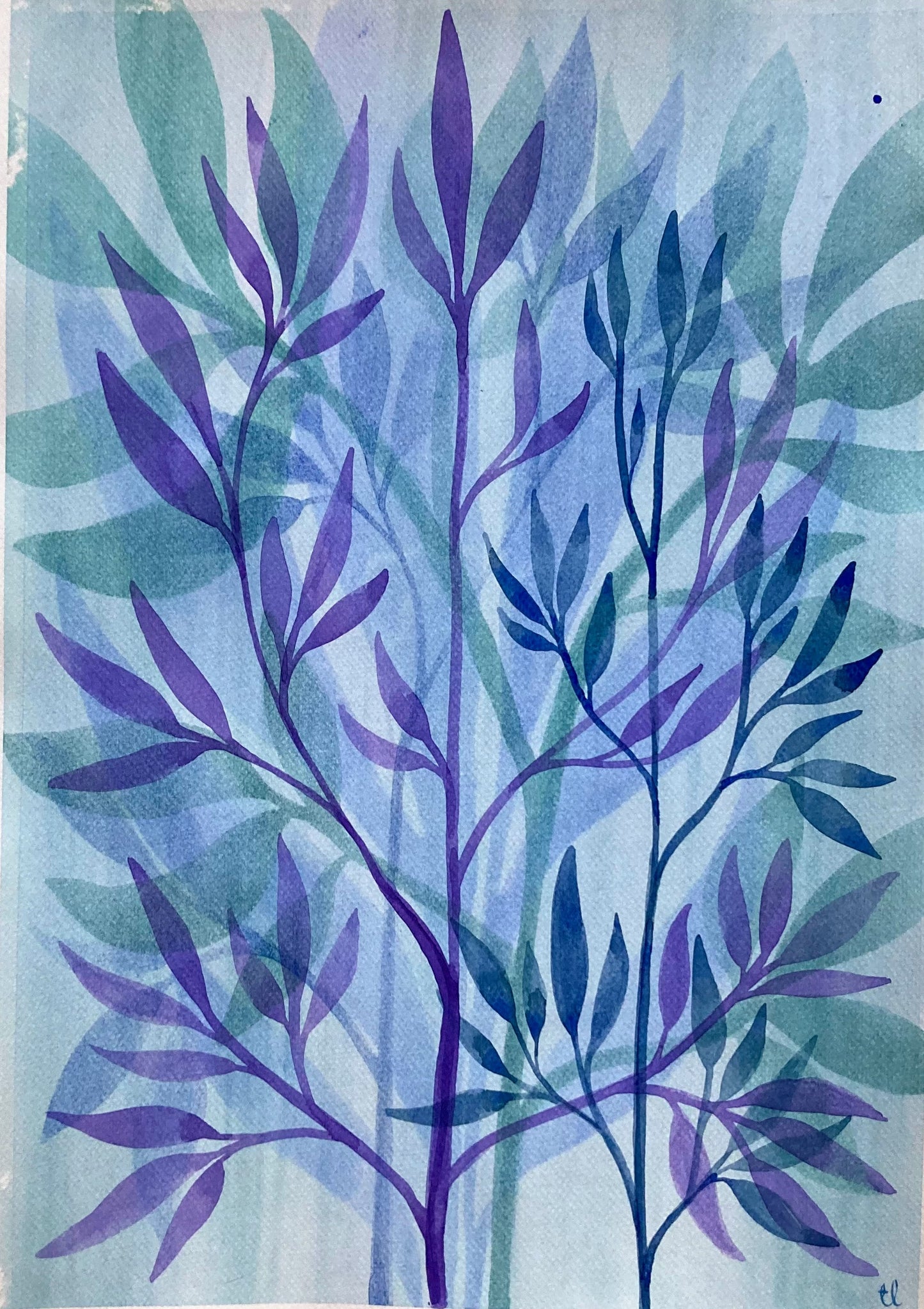 Winter Garden 11