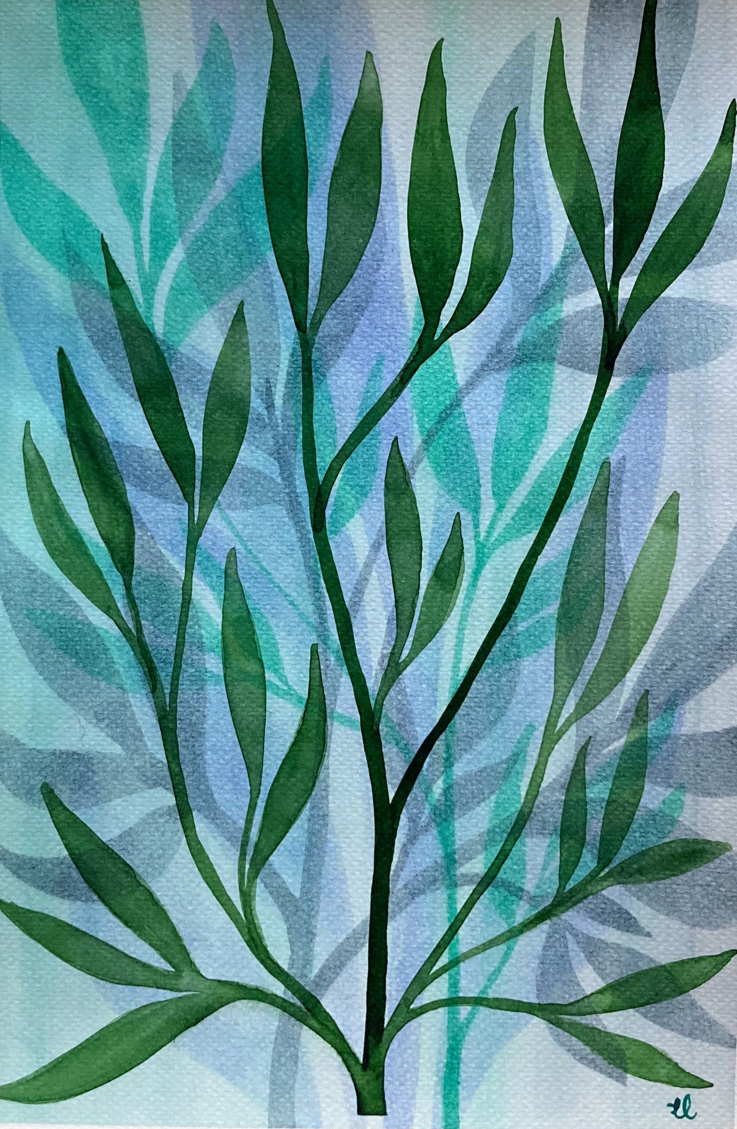 Winter Garden 17