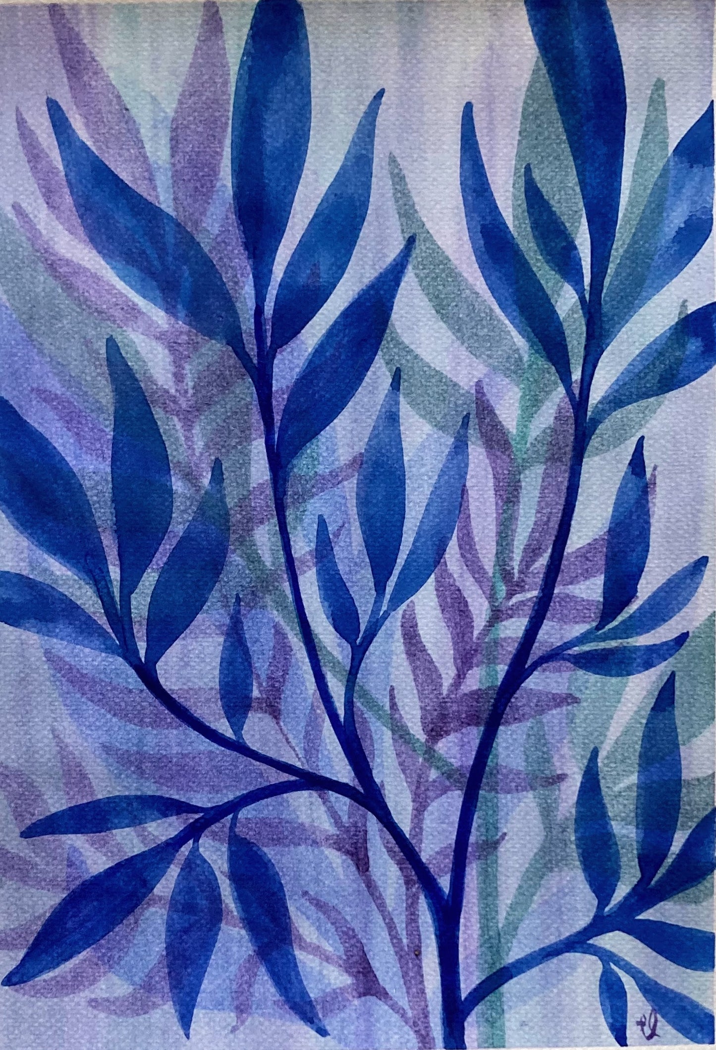 Winter Garden 19
