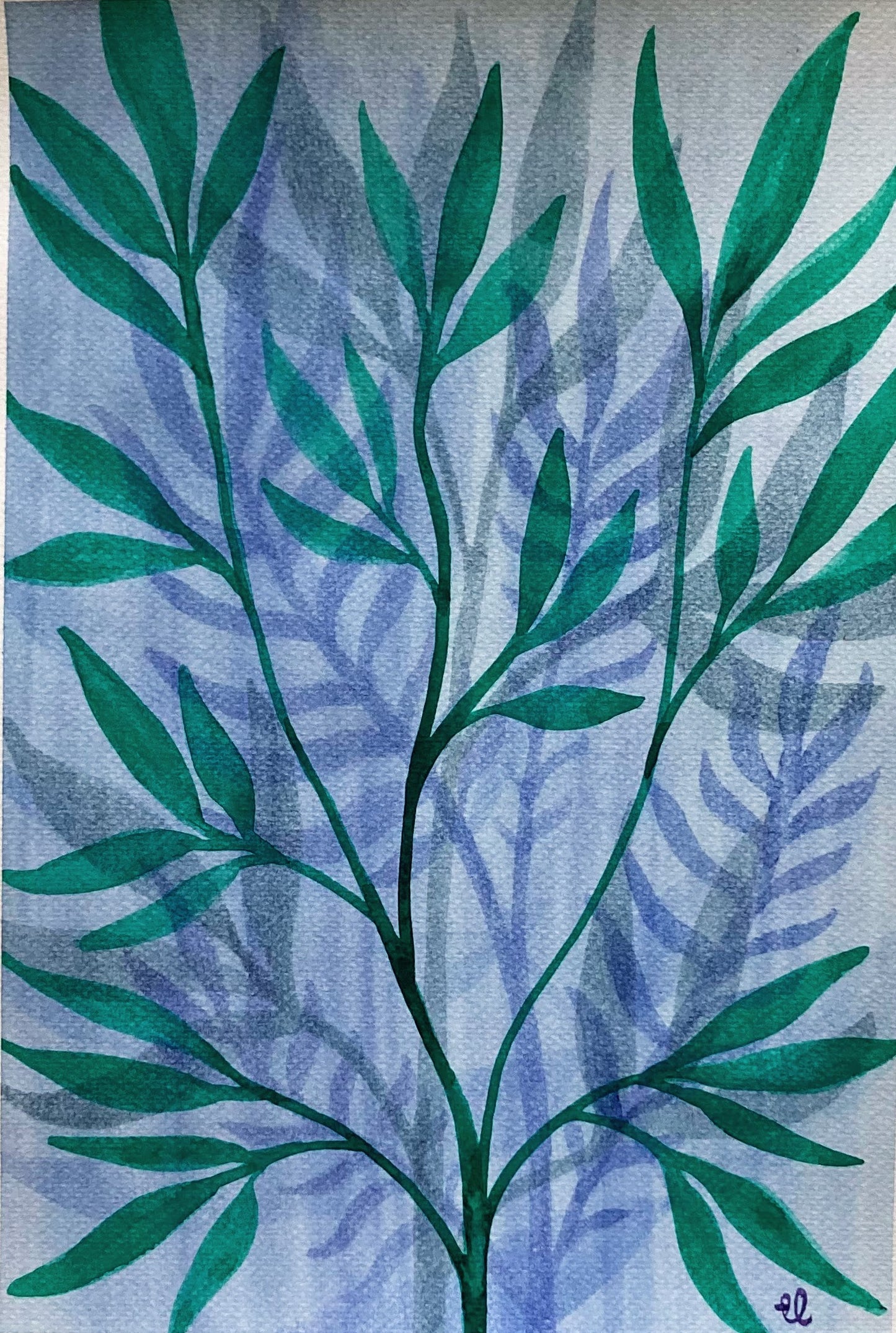 Winter Garden 23