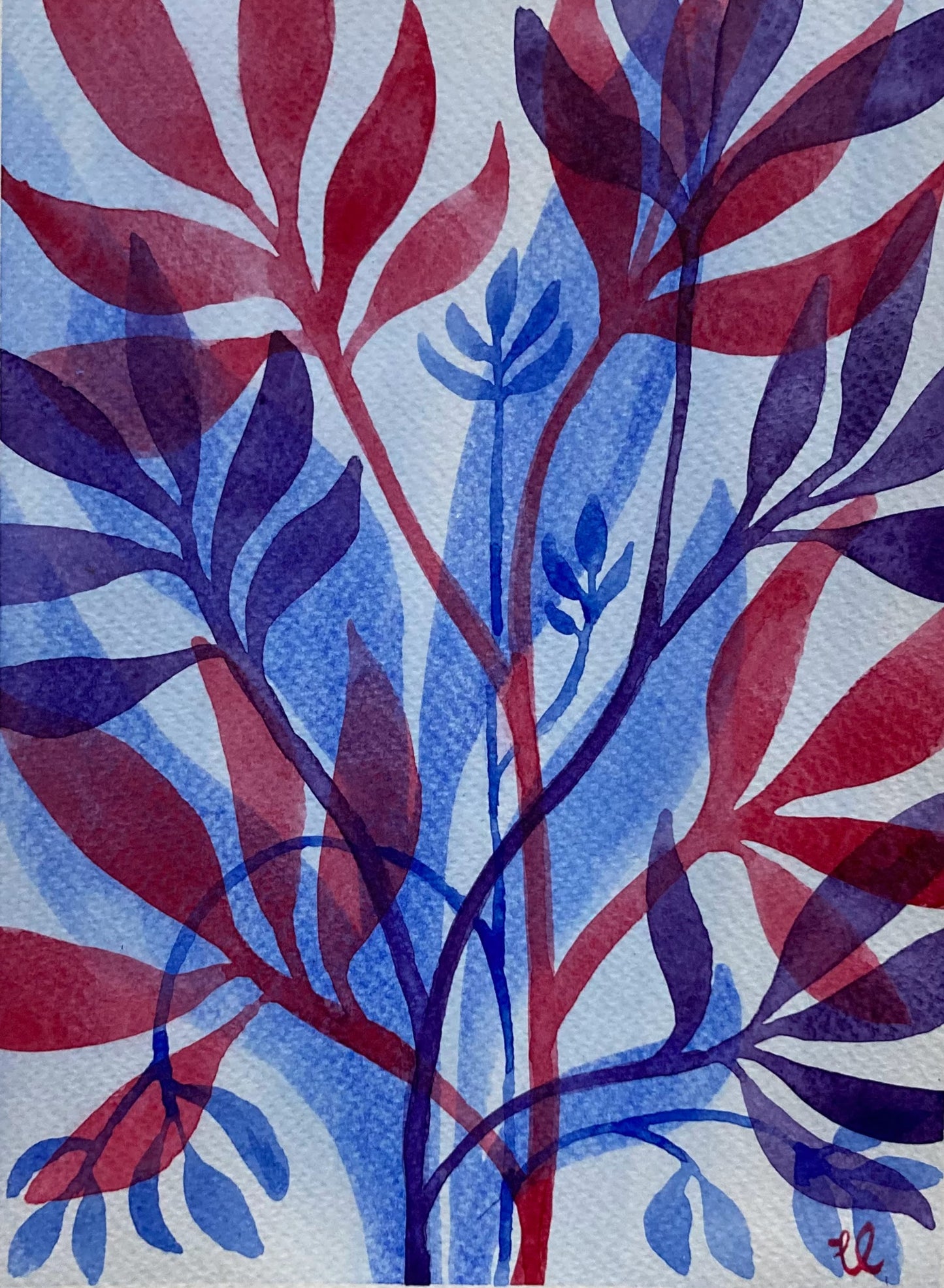 Winter Garden 28