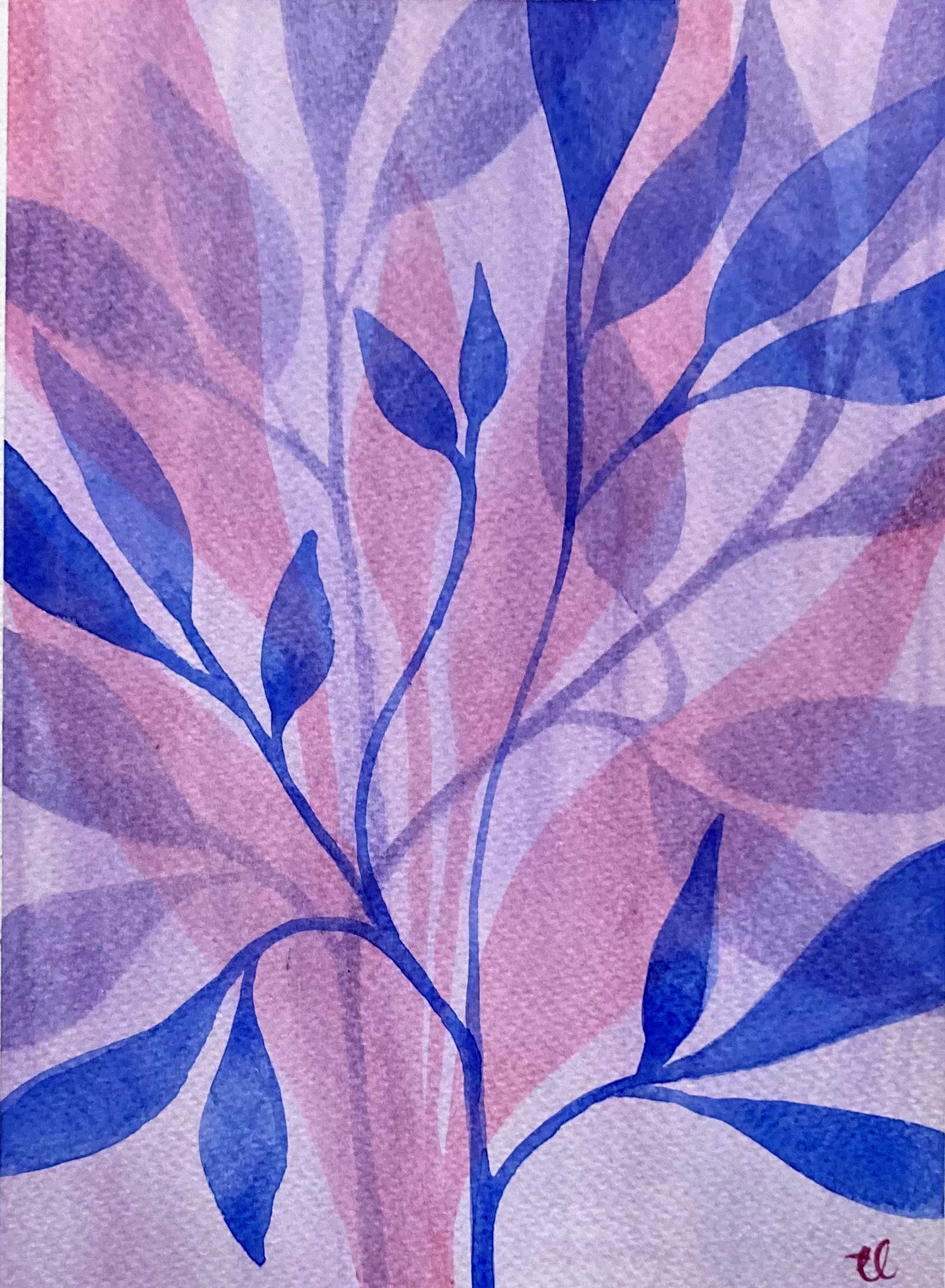 Winter Garden 35