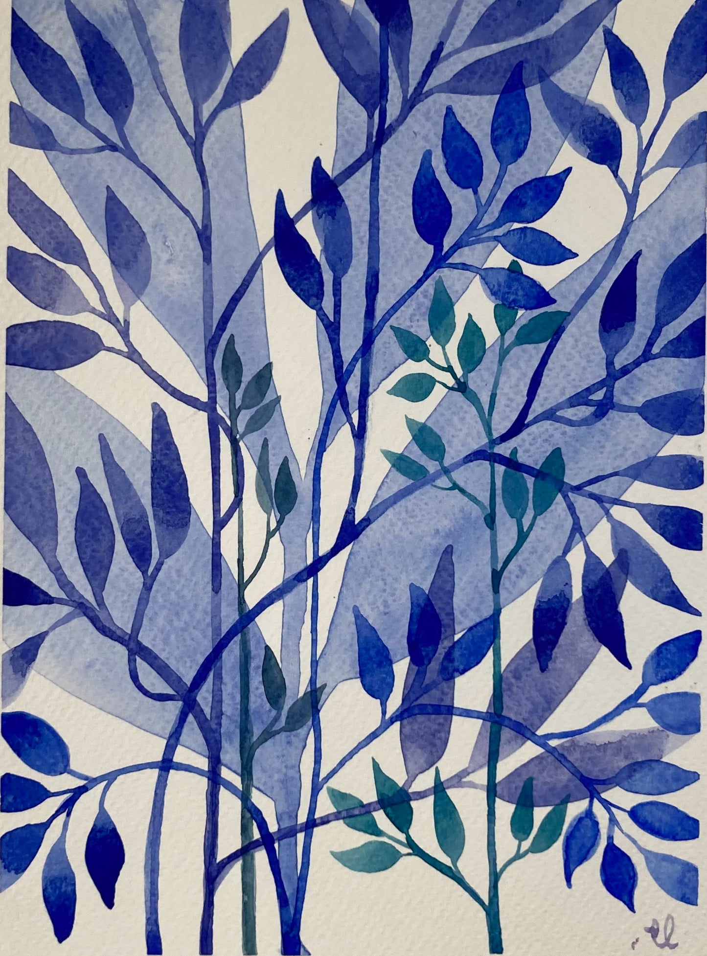 Winter Garden 26